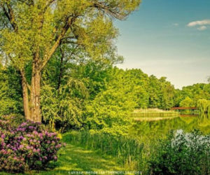 Zielony park Sołacki