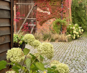 Remont domu z lat 30. i wiejski ogród