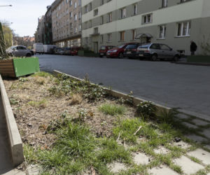 Ulica Daszyńskiego we Wrocławiu
