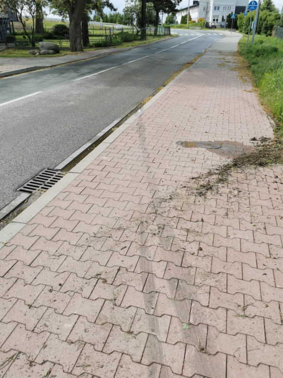 Szaleniec wjechał do ogródka. Rodzinę przed śmiercią uratowała pogoda