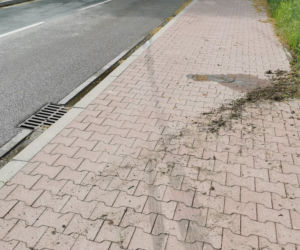 Szaleniec wjechał do ogródka. Rodzinę przed śmiercią uratowała pogoda
