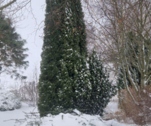 Atak zimy na wybrzeżu. Burze śnieżne, zasypane drogi i alerty IMGW