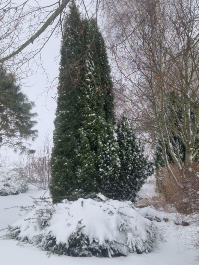 Atak zimy na wybrzeżu. Burze śnieżne, zasypane drogi i alerty IMGW