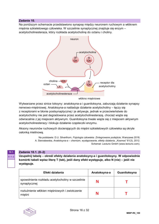 Matura 2025 biologia rozszerzona: ODPOWIEDZI do wszystkich zadań, gotowe rozwiązania matury z biologii rozszerzonej [9.05.2025]	