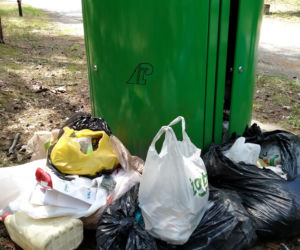 Do lubelskich lasów wyrzucamy opony, meble, sprzęt RTV i AGD