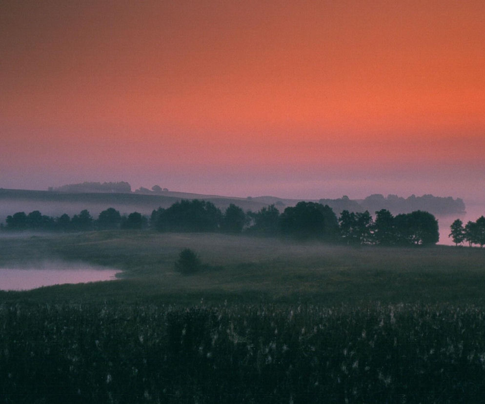 Opuszczona wyspa wystawiona na sprzedaż. Niegdyś była oblegana przez turystów