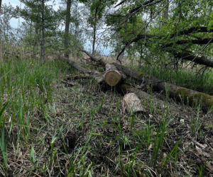 13-letni Mikołaj zginął nad jeziorem. xxx Śledczy mówią o brutalnym pobiciu