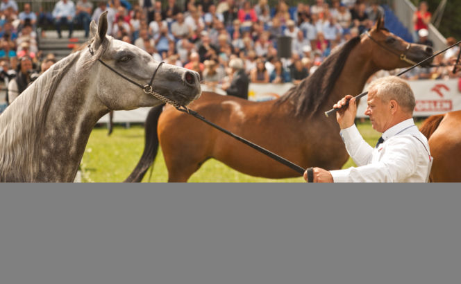 Pride of Poland 2016 w Janowie Podlaskim. 