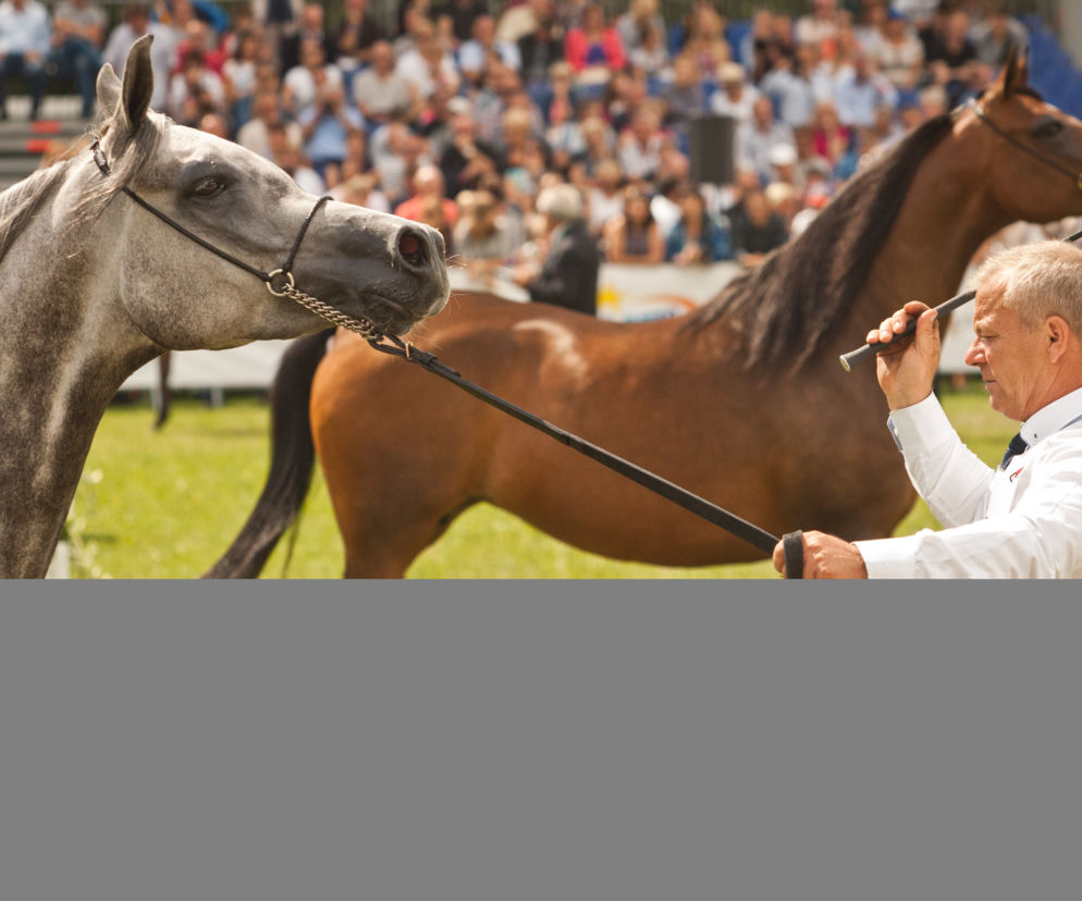 Pride of Poland 2016 w Janowie Podlaskim. 