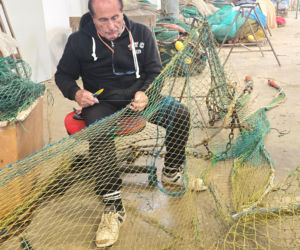 Turystyka rybacka w Cesenatico. Włoskie wybrzeże kusi polskich turystów