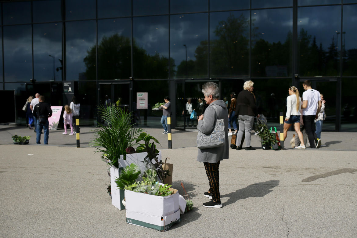 Festiwal roślin w Katowicach przez weekend w MCK