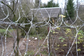 Karolina Pajączkowska na granicy polsko-białoruskiej