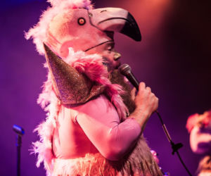 Heidenfest 2026 w Warszawie: folk metalowe szaleństwo w środku zimy [RELACJA]