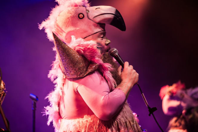 Heidenfest 2026 w Warszawie: folk metalowe szaleństwo w środku zimy [RELACJA]