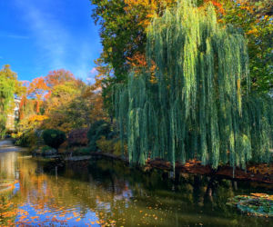 Jesień w ogrodzie botanicznym we Wrocławiu