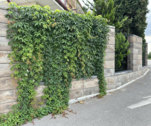 Płyty chodnikowe, palisady i stopnie schodowe, które sprawdzą się w strefie wejściowej