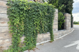 Płyty chodnikowe, palisady i stopnie schodowe, które sprawdzą się w strefie wejściowej