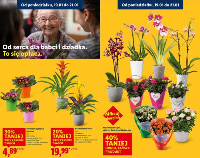 Prezenty na Dzień Babci i Dziadka