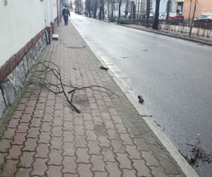 Wichura znów narobiła szkód w Lesznie i powiecie