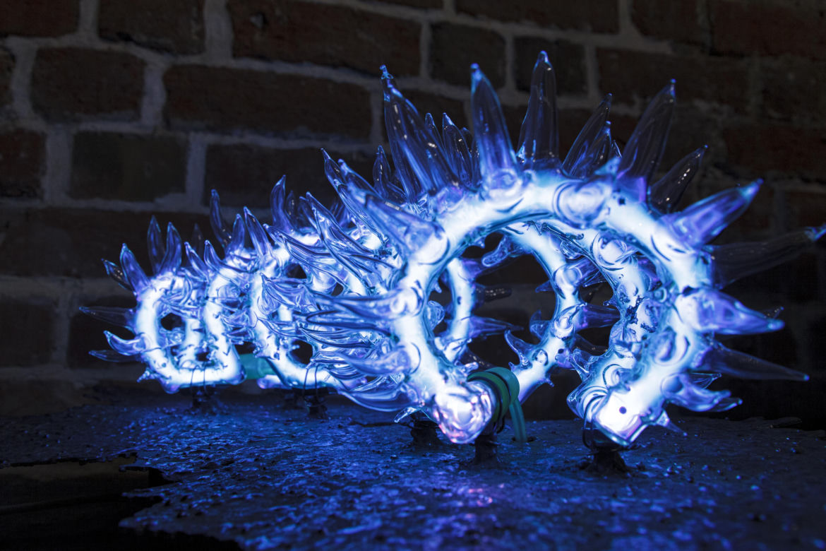 Wystawa dzieł sztuki kupionych od wrocławskich artystów