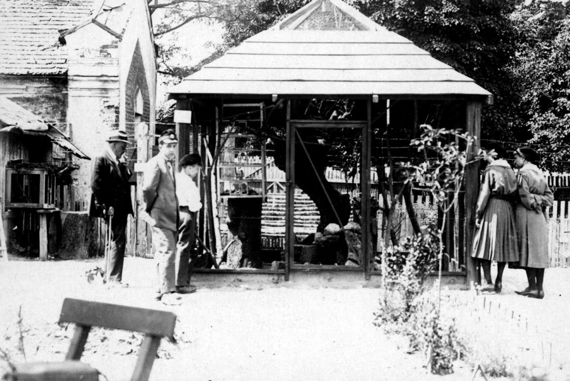 Pierwszy szkolny ogród zoologiczny w kraju powstał w Zamościu! Tak wyglądał 100 lat temu!
