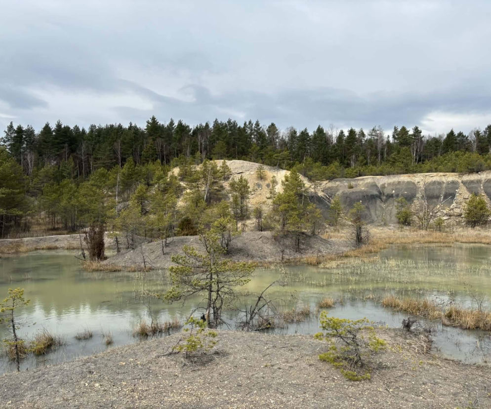 Gagaty Sołtykowskie. Największe ślady dinozaurów w Polsce