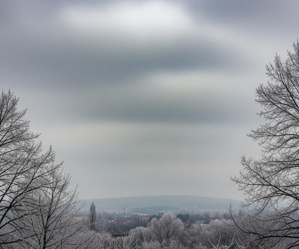 Dwa bezlistne drzewa z czarnymi, rozgałęzionymi konarami dominują po obu stronach kadru, ich gałęzie pokryte są jasnym szronem. Pomiędzy drzewami rozciąga się horyzont z zamglonym krajobrazem miejskim lub podmiejskim, gdzie dostrzegalne są dachy budynków, drzewa oraz dźwig budowlany. Całość otacza szare, zachmurzone niebo, z nieco jaśniejszym obszarem w centrum górnej części obrazu.