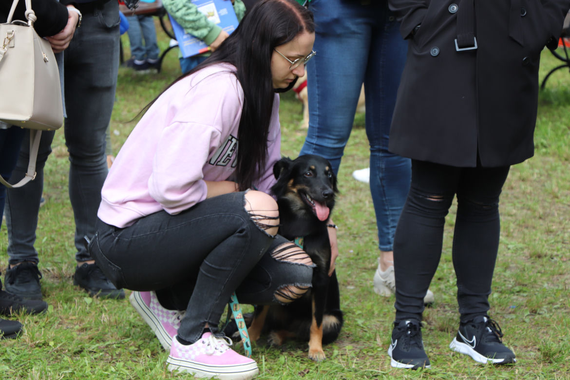 IX Piknik Przyjaciół Schroniska w Toruniu