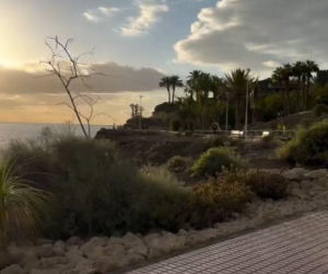 Olga Frycz dostała wyjątkowy prezent od ukochanego. To trzeba zobaczyć na własne oczy!