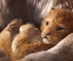 Król Lew - oryginał a nowa wersja filmu