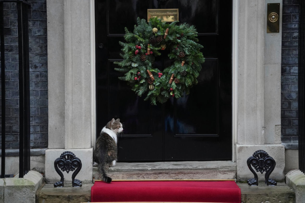 Oto Larry. Chief Mouser to the Gabinet Office