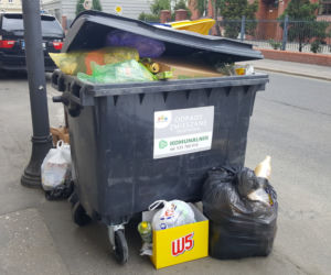 Bydgoszczanie mają już dość! Wciąż toną w śmieciach!