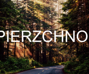 Pierzchno