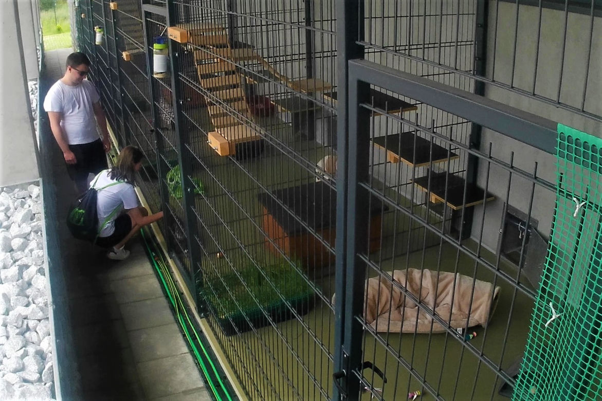 Dzień Psa w szczecińskim schronisku