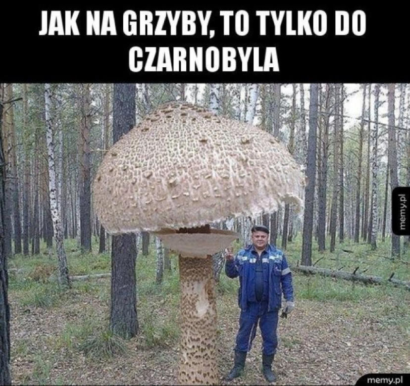 Grzybobranie 2023. Zobaczcie najlepsze memy o grzybiarzach! 