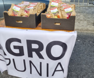 Protest rolników w Lublinie [GALERIA]