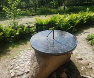 Leśne Arboretum Warmii i Mazur w Kudypach