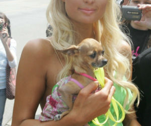 Paris Hilton wyszła za mąż! Zobacz jak się zmieniała
