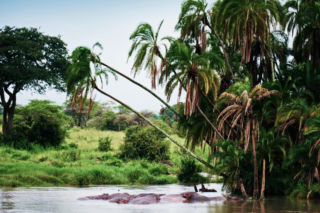 Najbogatszy kraj świata, który jest piekłem dla turystów.