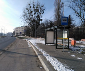 Przystanek donikąd prezydenta Zaleskiego