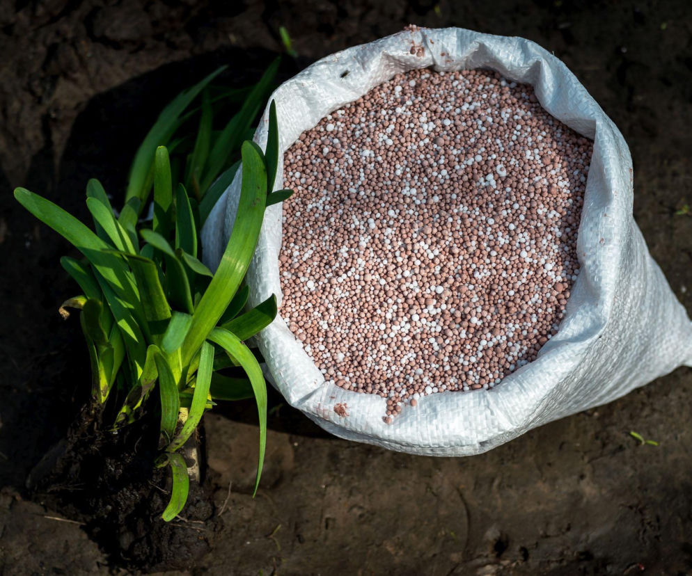 Nawozy organiczno-mineralne - jak wybierać i stosować?