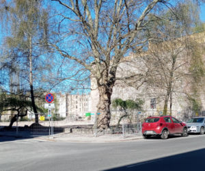 Puste miejsce po Maciusiu