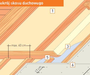 konstrukcja dachu