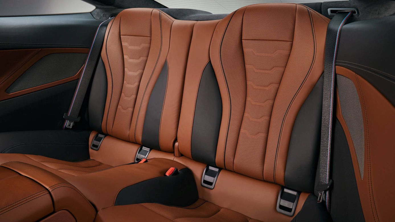 2019 BMW serii 8