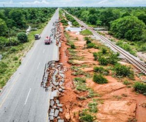 Krokodyle i hipopotamy na ulicach! Władze ostrzegają