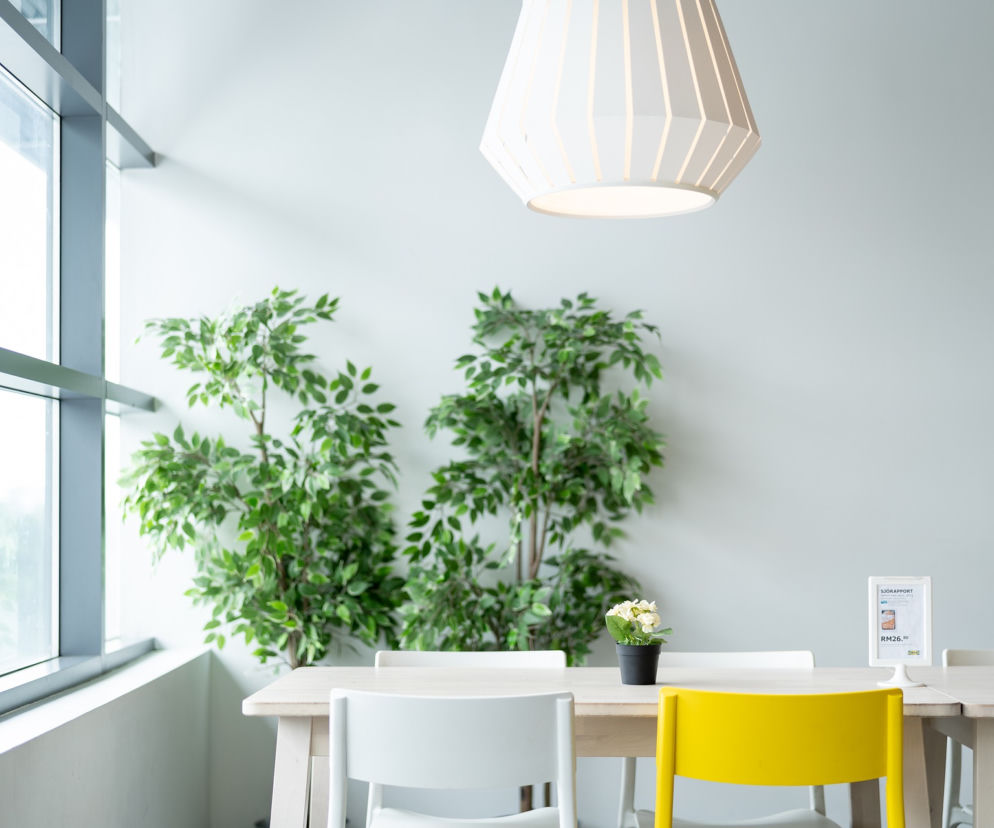 Wielka wyprzedaż w IKEA. Niektóre produkty można kupić nawet 70 procent taniej 