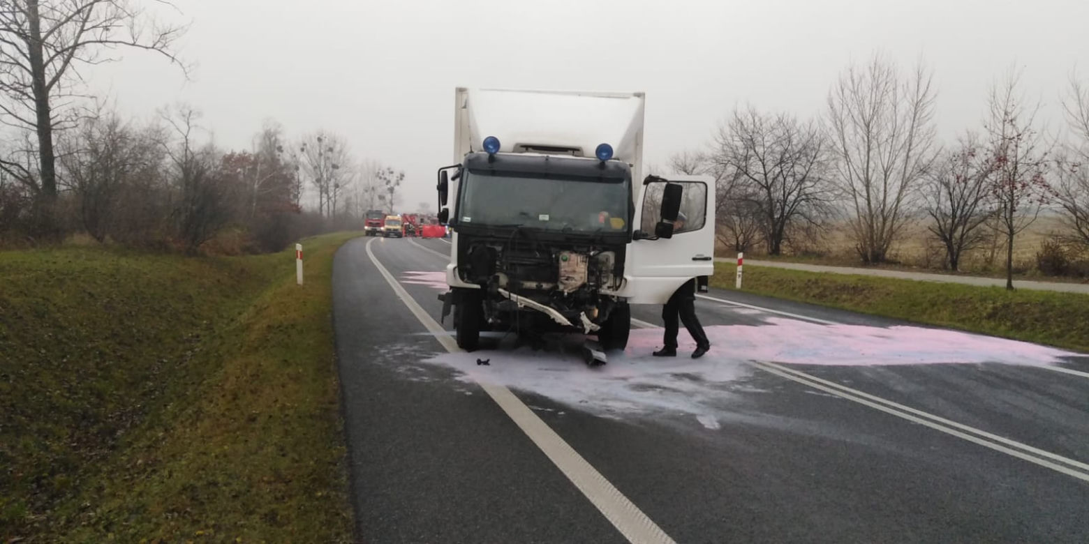 Horror na drodze niedaleko Torunia. Apel do świadków!