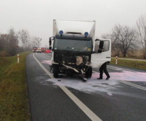 Horror na drodze niedaleko Torunia. Apel do świadków!