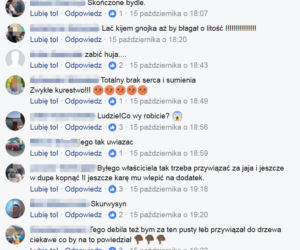  Przywiązali psa do drzewa. Internauci szukali okrutnych właścicieli szczeniaka