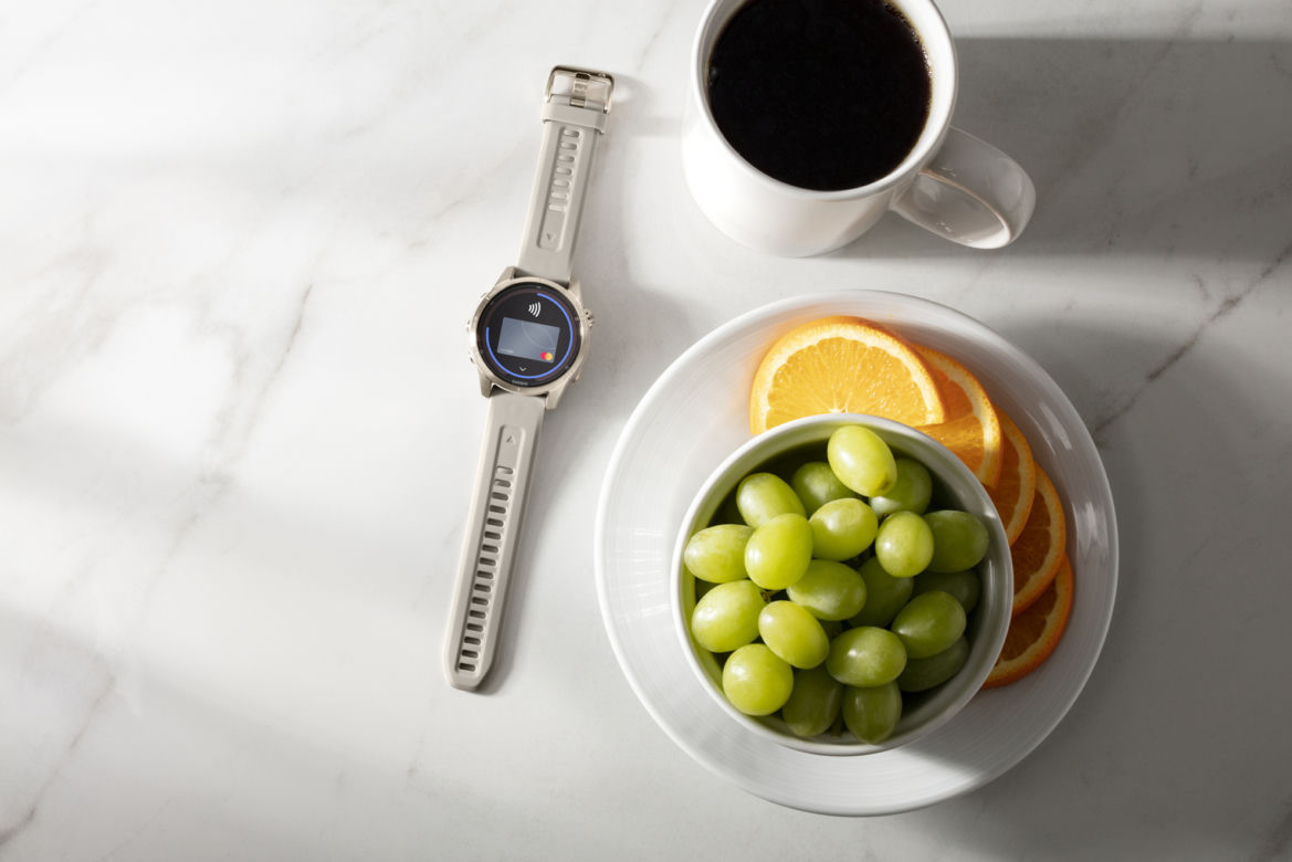 Garmin Fenix Pro